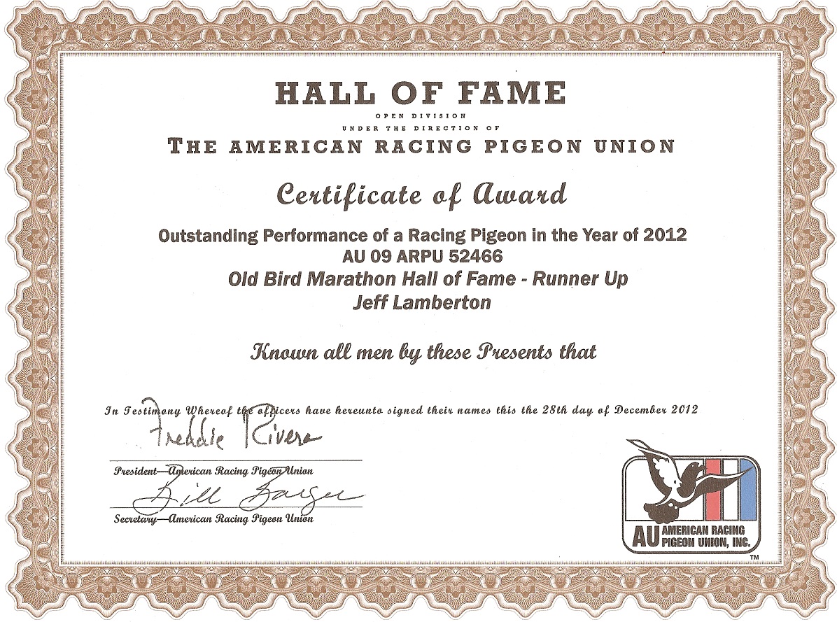 Hall Of Fame Certificate Best Professionally Designed Templates